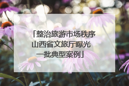 整治旅游市场秩序 山西省文旅厅曝光一批典型案例